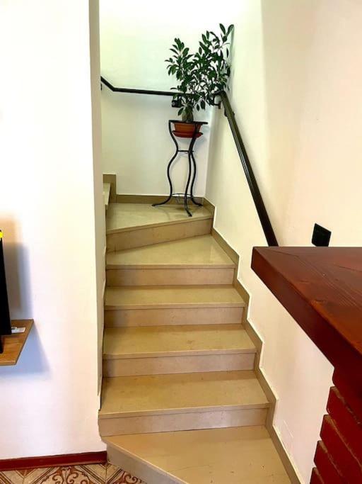 Casa Vacanze Ca' Di Lucchini San Benedetto Val di Sambro Eksteriør bilde